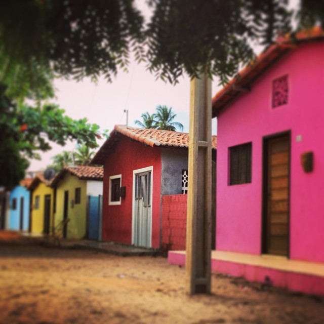 556433_10201494269789708_680015605_n